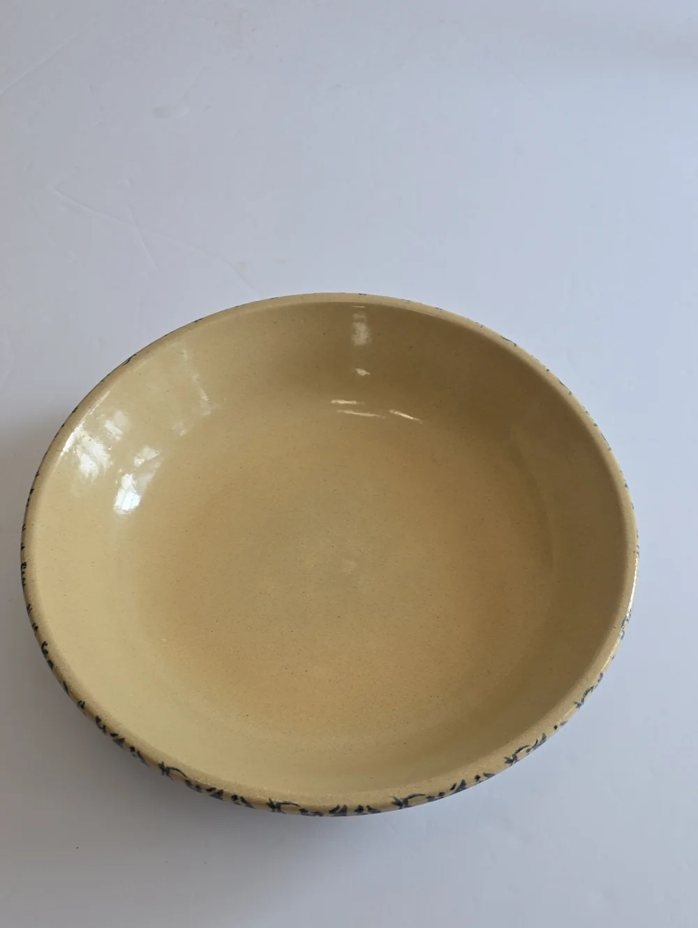 Vintage Robinson Ransbottom Pottery RRP Roseville OH Blue Sponge Pasta Bowl 12